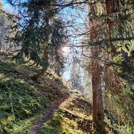 Isabella 4 Lägenhet Rauris