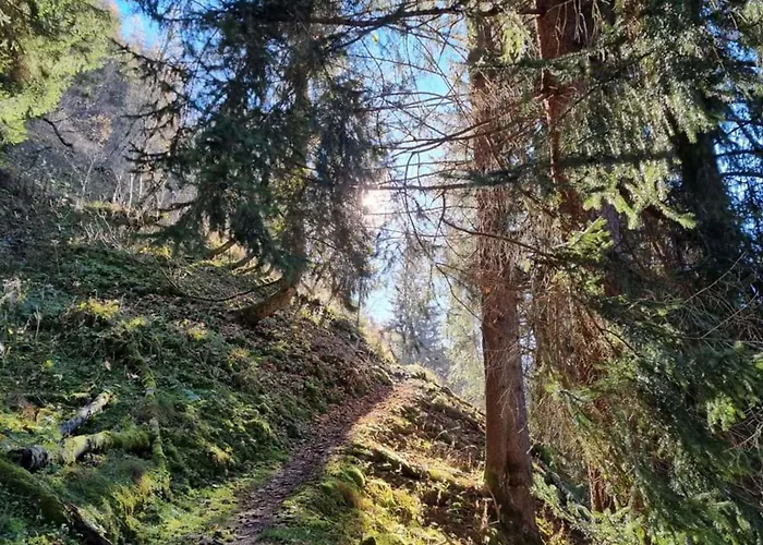 Isabella 4 Appartement Rauris